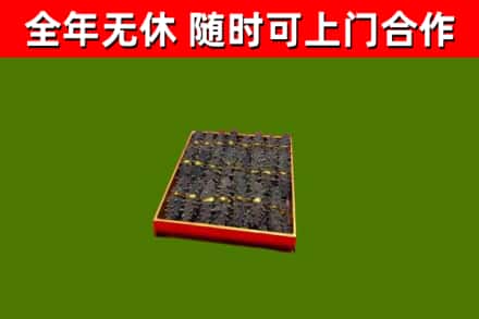 任泽回收海参